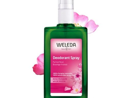 Weleda Musk Rose Rose  100ml (3.38fl oz) Online Sale