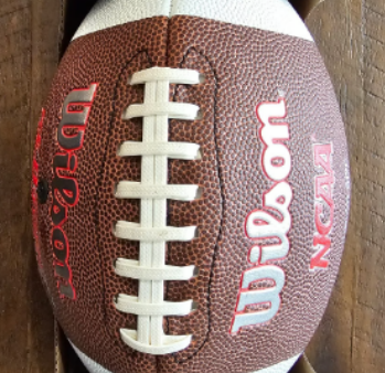 Wilson Ncaa Red Zone Junior Composite Football Discount